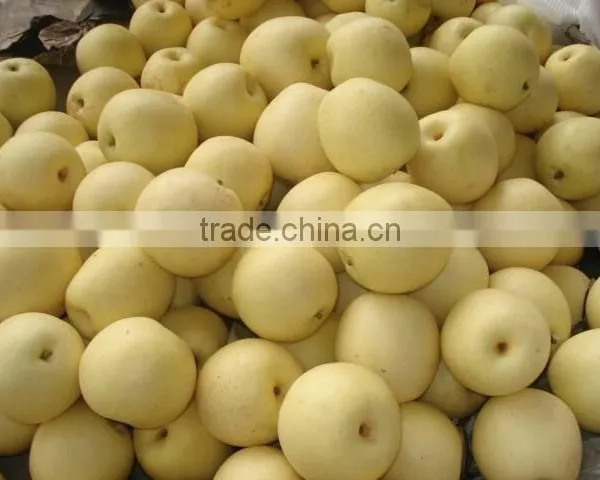 Juicy ya Pear photo-3