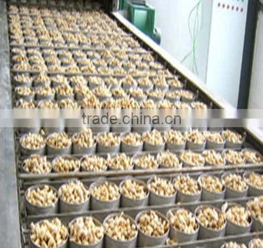 High Demand Export Products Fried and Salted Peanuts Canned Roasted Salted Peanuts photo-4