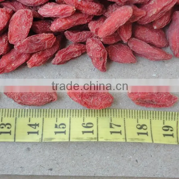 New Arrived Ningxia Goji Berry 280 photo-4