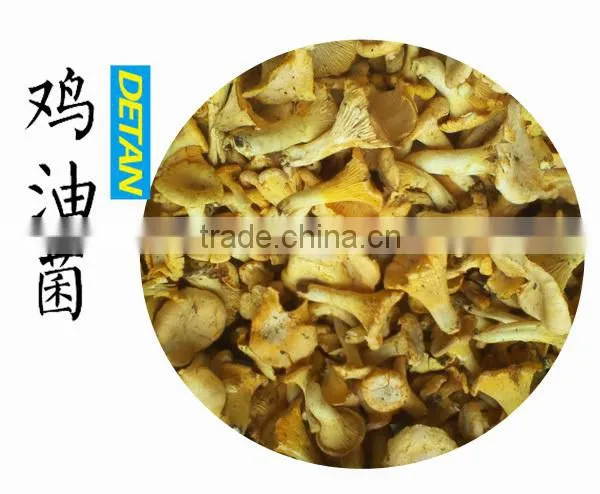 Frozen Grade A Chanterelles Mushrooms photo-5