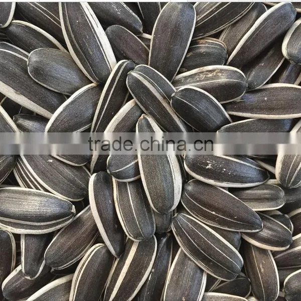 Price of Inner Mongolia Sunflower Seeds With Good Quality