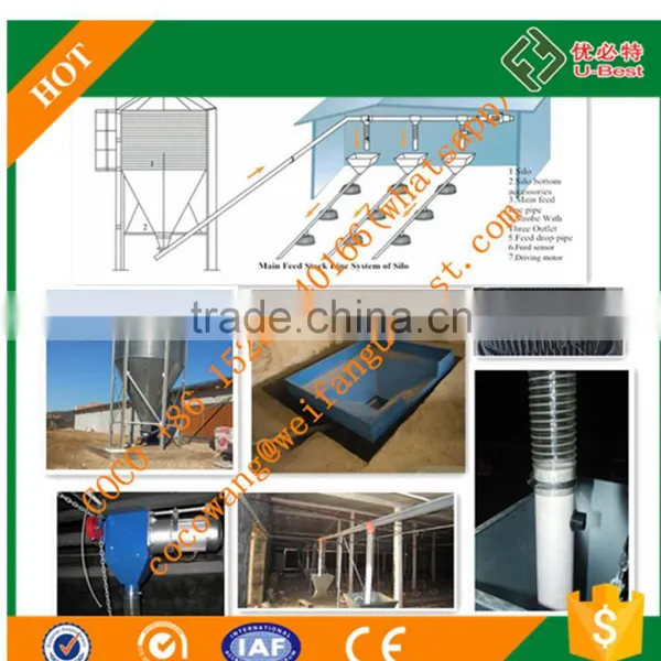 Best Selling Products in Philippines Automatic Chicken Feeding Equipment/Lubing Nipple Cup Drinker/Tunnel Ventilation Fan photo-3