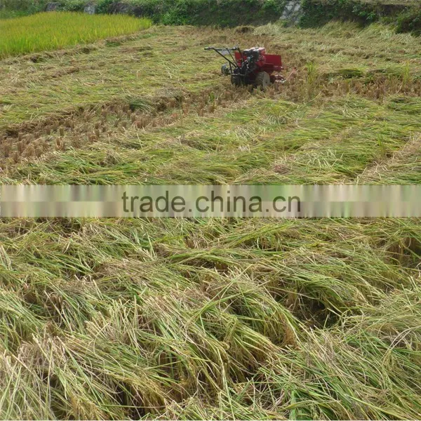 Factory Derectly Supply Mini Rice Combine Harvester photo-5