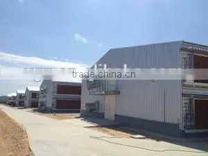 steel structure chicken farm