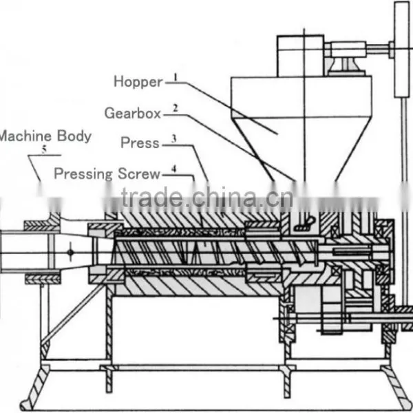 Low Residual Cold Press Oil Machine/mini Oil Press Machine photo-4