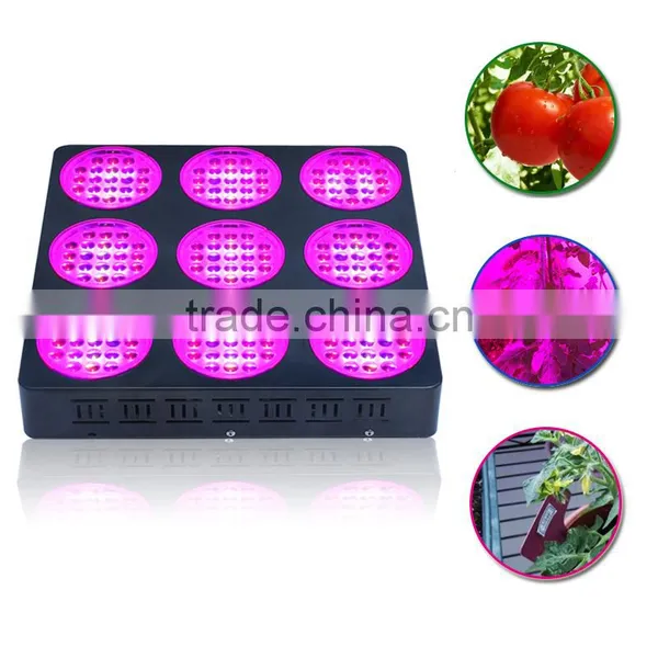High Input 600W Light Grow Led Double Lens Grow Lamps photo-5