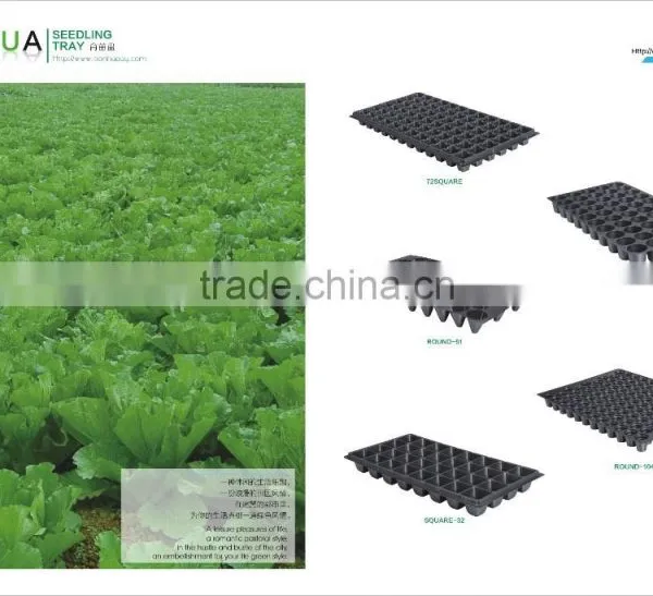 Plastic Seedling Tray Molding Machine photo-3