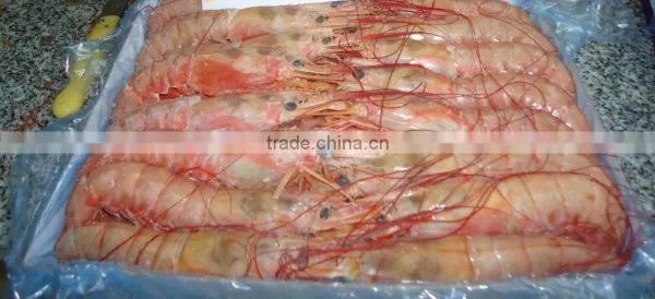 Frozen Pink Shrimp photo-5