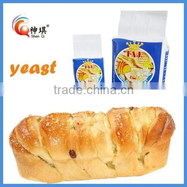 Bakery Yeast Cake Yeast Bread Yeast in China photo-4