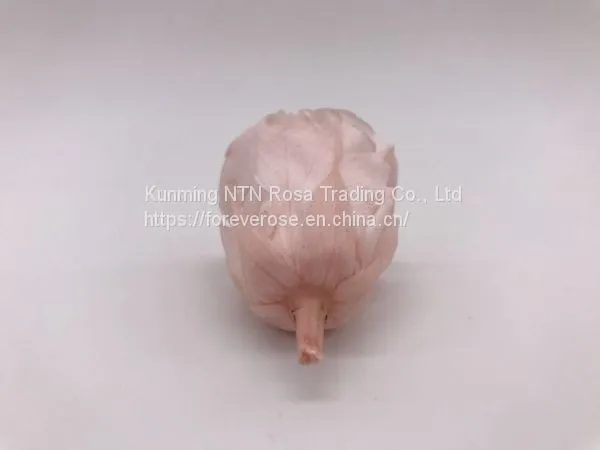 Preserved Rose Flowers for Wedding Decoration Flower Arrangement photo-3