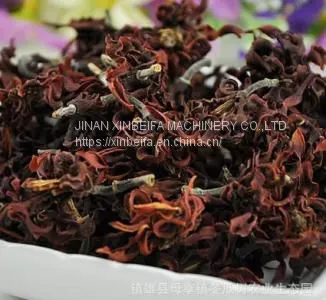 Magnolia Dried Tea Drying Oven photo-4