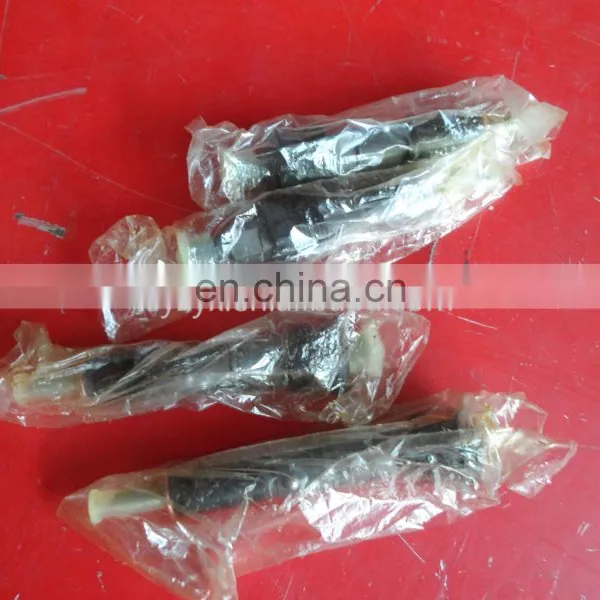ISDE Cheap Hot Sale Fuel Injector Diesel 4988835 0445120161 photo-2