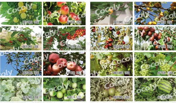 A Functional Fertilizer Cocoly That Can Regulate Soil pH photo-3