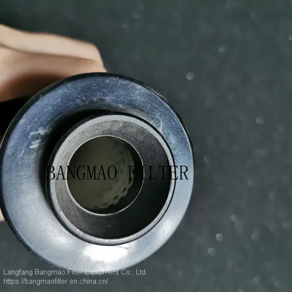 BANGMAO Replacement PARKER Supply High Quality Hydraulic Oil Filter Element 925831Q photo-2