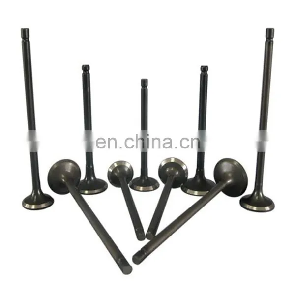 Original Auto Spare Parts Engine Valves For Land Roverr Defender 200 300 2.5ltr TDI 200tdi 300tdi photo-3
