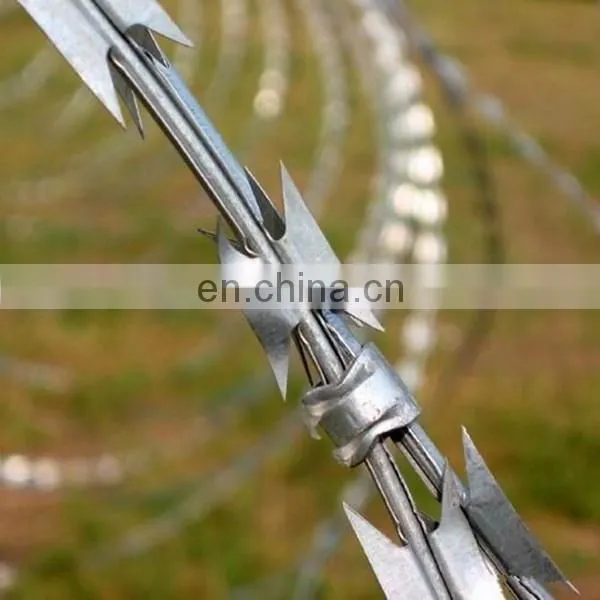 Stainless Steel Hot Dipped Galvanized Concertina Razor Blade Barbed Wire Mesh Fence Low Price photo-5