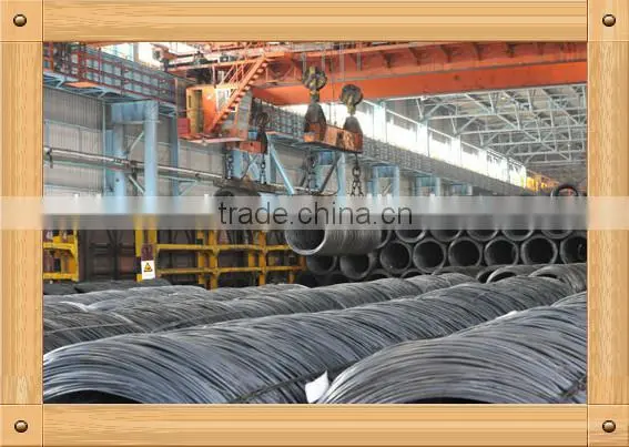Factory Price Cold Heading Wire Rod Coil Steel photo-5