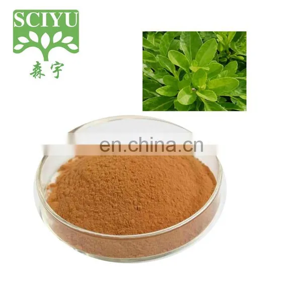 Экстрактовый порошок Gynura procumbens 10:1, 20:1