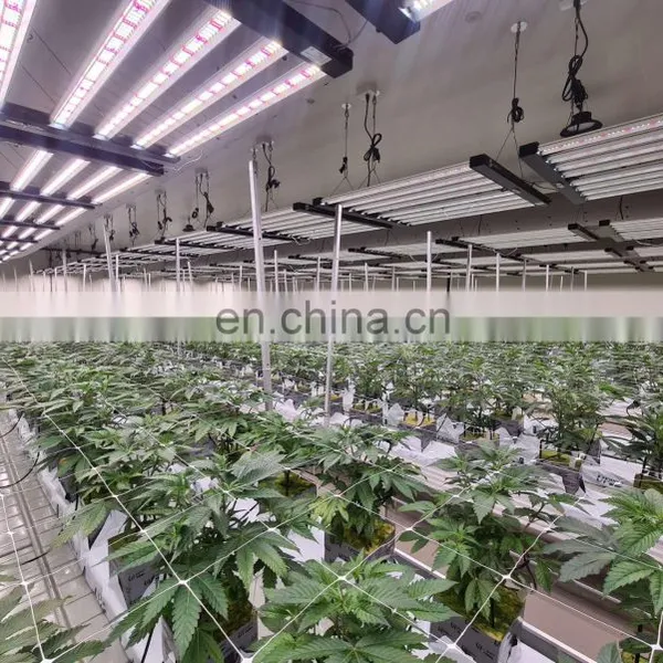 Factory Supply Cheap Price Trellis Netting Roll 6.5 x 3280 For Orchard Garden Vegetable photo-3