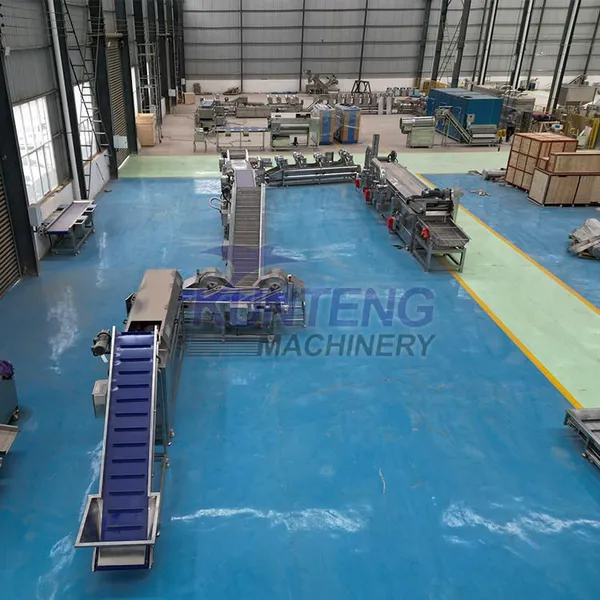 French Fry Frying Production Line Fully Automatic Potato Chip Fried Production Line Equipment photo-2