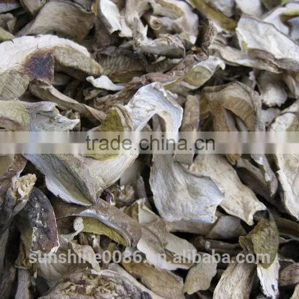 White Porcini Mushroom Dried Boletus Price With High Quality photo-3