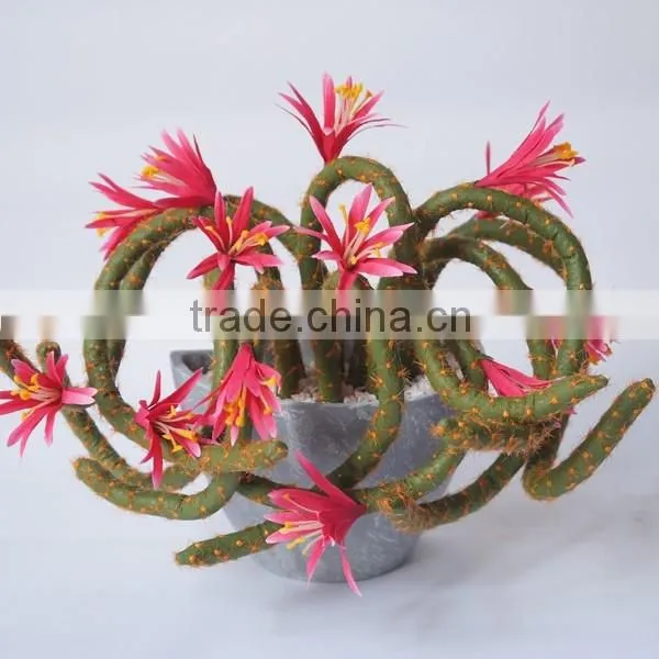 Summer Hanging Tropical Flower Plant photo-2