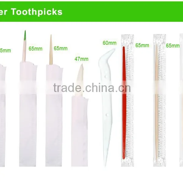 PP Food Grade pp Plastic Dental Toothpicks photo-3