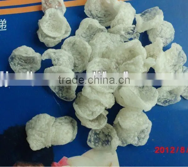 Modified Starch Extruder photo-2