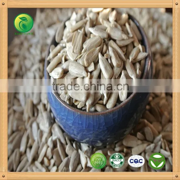 Sunflower Kernels for Oil Extract Refined