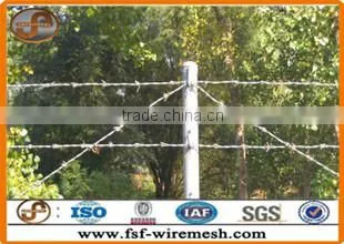 Anping Factory Galvanized Barbed Wire photo-3