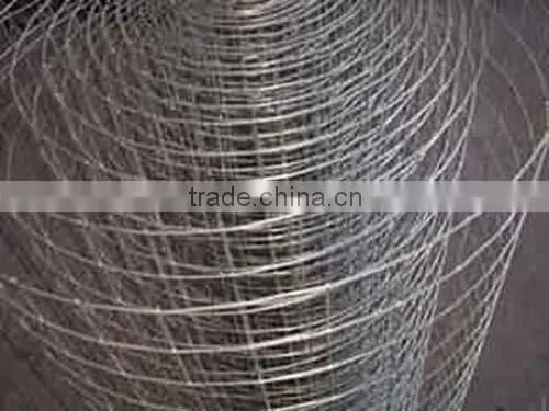 Cheap Super Quality Galvanised Welded Wire Mesh Panel Supplier for Sale photo-4