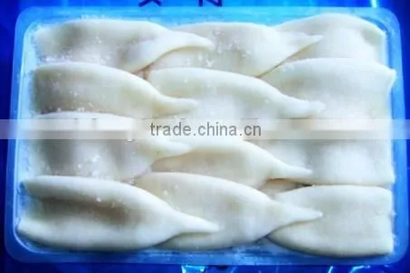 Frozen Squid Tube Todarodas Pacificus BQF photo-4