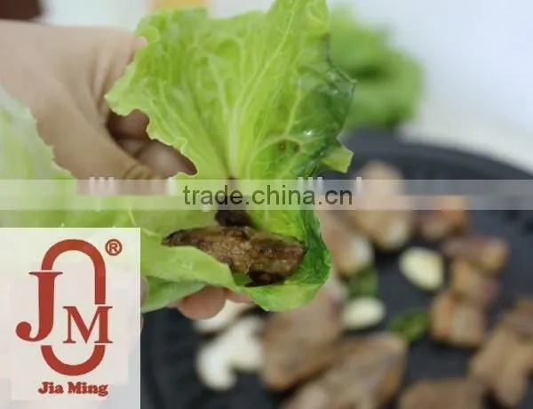 High Quality Portable Bbq Food Camping Bbq Grill Tray photo-4