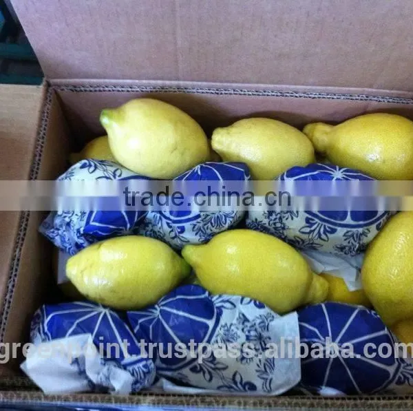 Lemon photo-6
