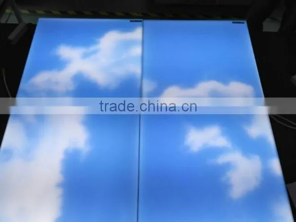 IP44 Input Voltage 100-240VAC 600X600MM 48W Frameless CE LED Sky Light photo-3