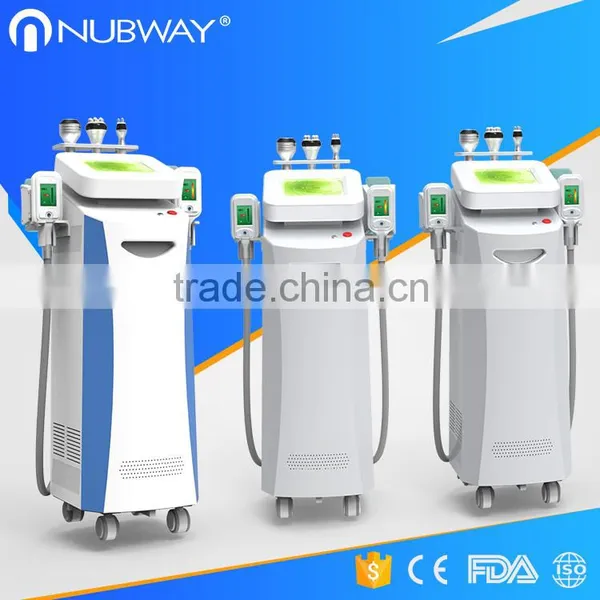 2017 Newest Cryolipolysis Home Slimming Lose Weight Machine Cryolipolysis Freezing Fat Machine Double Chin Removal photo-3