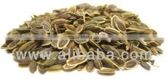 Dill Seeds