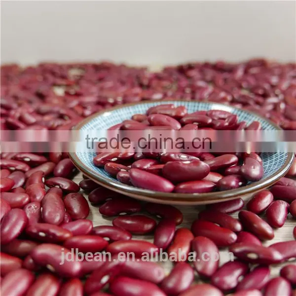 RED DARK KIDNEY BEAN Rajma HPS 200-220PCS/100G photo-6
