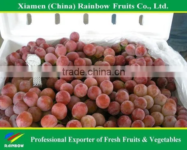 Fresh Red Globe Grape From Yunnan Xinjiang China photo-4