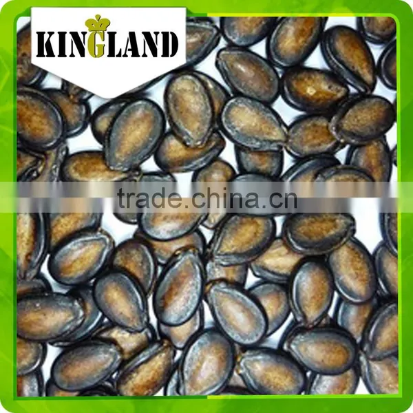 Black Seedless Watermelon Seed photo-4