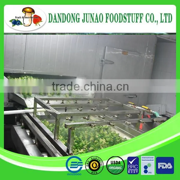 Frozen Fruits and Vegetables Manufacturer IQF Broccoli Frozen photo-3