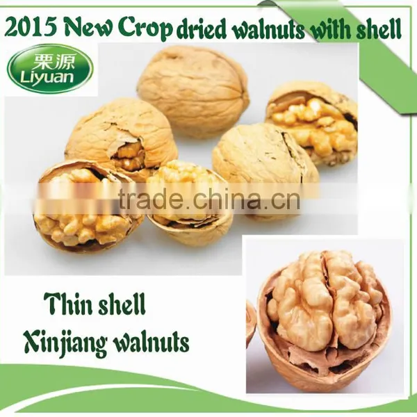 2015 New Crop Dried Thin Shell Xinjiang Origin Walnut in Shell