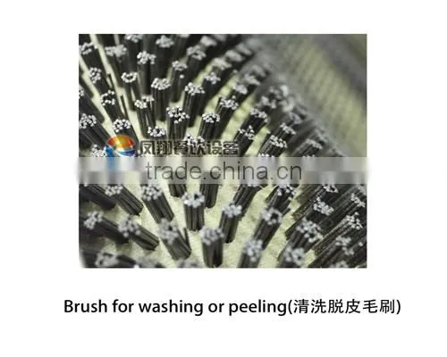 MSTP-500 Large Capacity Potato Polishing Polisher Machine photo-4