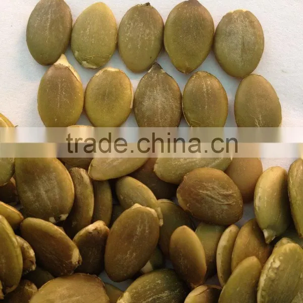 Wholesale Pumpkin Seeds Shine Skin Grade A