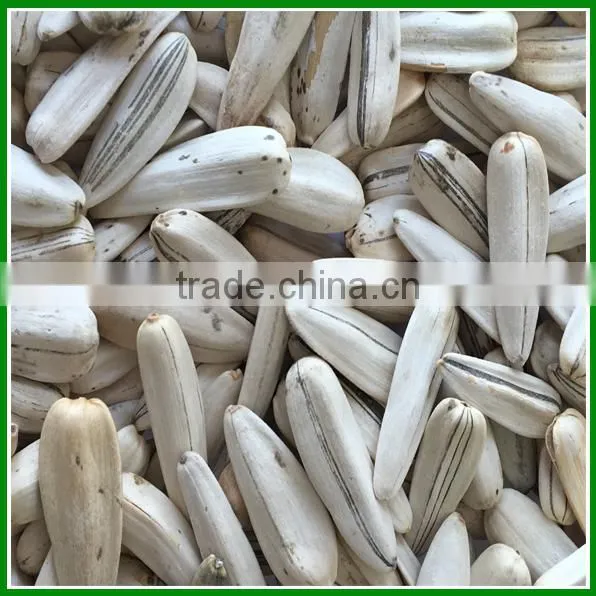 China Raw White Striped Sunflower Seeds for Human Eating photo-2