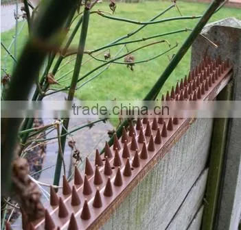 Plastic Anti Bird Pigeon Control Spikes Strips Bird Products Supplies photo-2