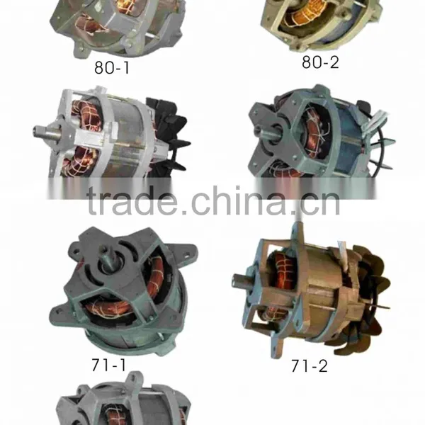Lawn Mower Motor
