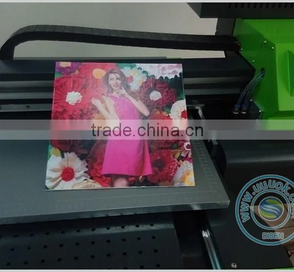 Economical CE Certification 0.6M*0.6M Flat Digital Printing on Glass photo-4