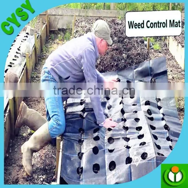 PP Ground Cover,weed Barrier Fabrics, Weed Mat in Strawberry Garden photo-4
