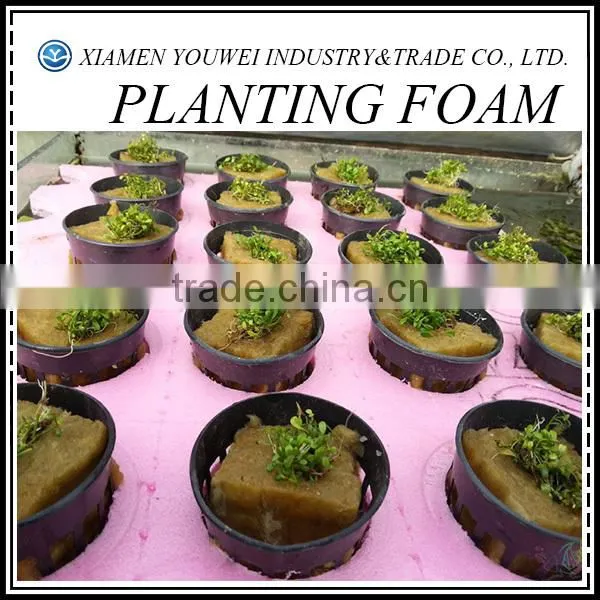 Soilless Culture Planting Foam For Green Agriculture